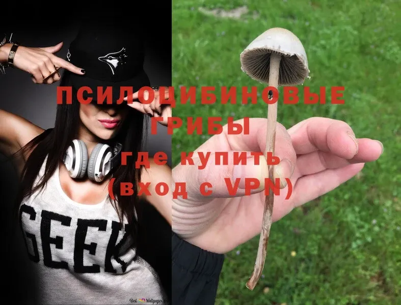 Псилоцибиновые грибы GOLDEN TEACHER  где купить наркоту  darknet клад  Нытва 